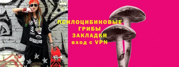 соль ск Арсеньев