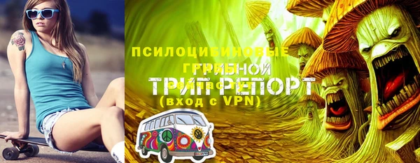 соль ск Арсеньев