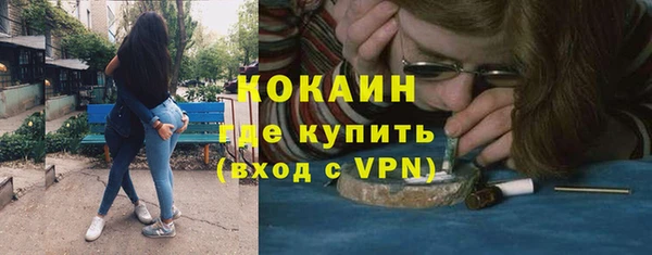 соль ск Арсеньев