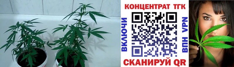 наркошоп  Тарко-Сале  Дистиллят ТГК гашишное масло 